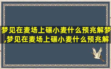 梦见在麦场上碾小麦什么预兆解梦,梦见在麦场上碾小麦什么预兆解 🐦 梦呢